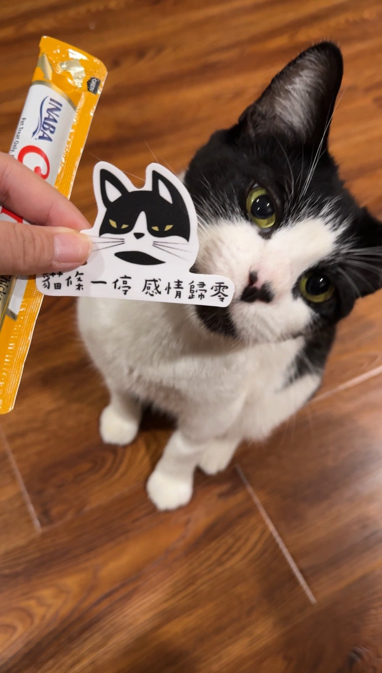 “Treats Stops, Love Ends” - Logo Sticker